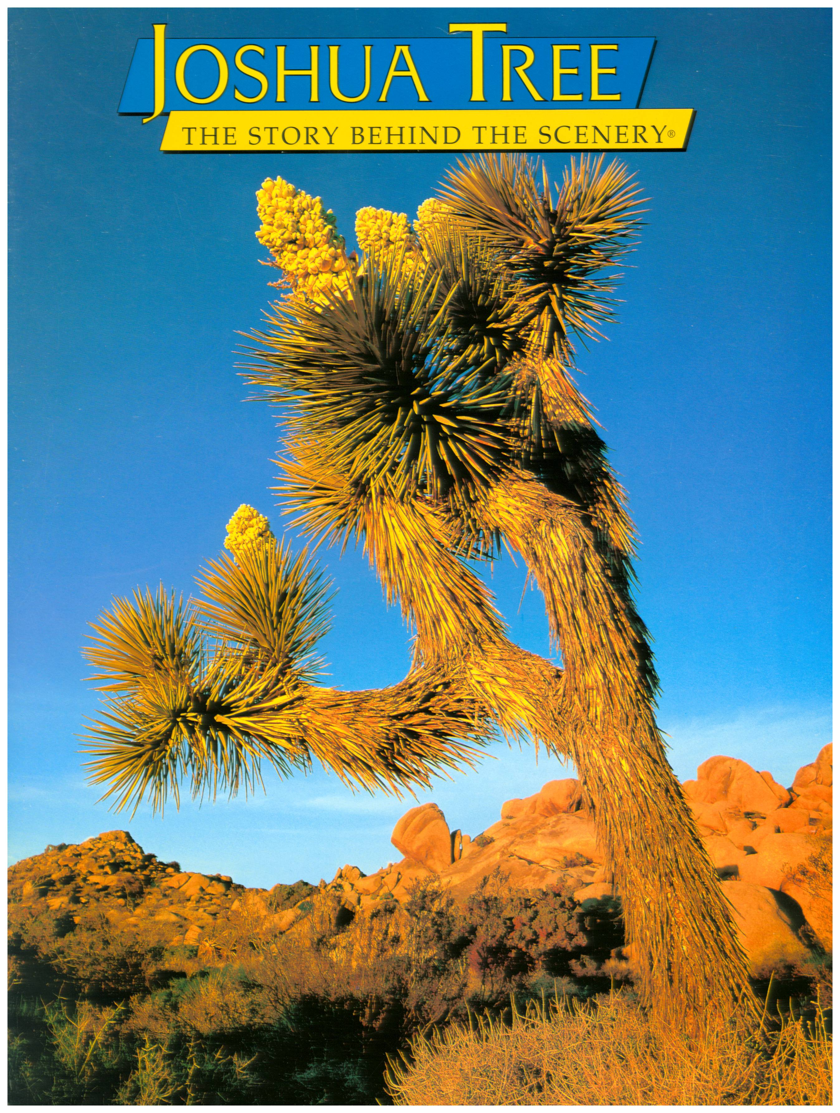 JOSHUA TREE: the story behind the scenery (CA). 